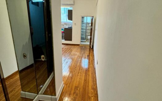 Hermoso Monoambiente Estilo Francés. Lavalle 357