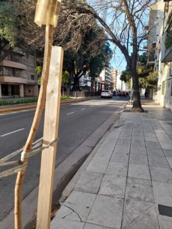 Depto 2 Amb Al Frente C/ Balcón Luminoso. Pqe. Avellaneda ** Dueño Alquila **