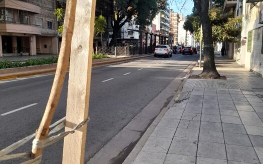 Depto 2 Amb Al Frente C/ Balcón Luminoso. Pqe. Avellaneda ** Dueño Alquila **