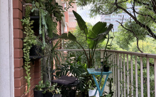 Excelente departamento dos ambientes y balcón corrido con vista a Plaza Alberti