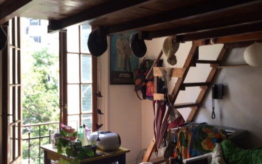 BOTANICO,PALERMO, 1 amb y 1/2. LUMINOSO a PULMON DE MANZANA. U$S 400