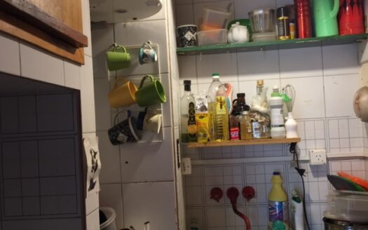 BOTANICO,PALERMO, 1 amb y 1/2. LUMINOSO a PULMON DE MANZANA. U$S 400