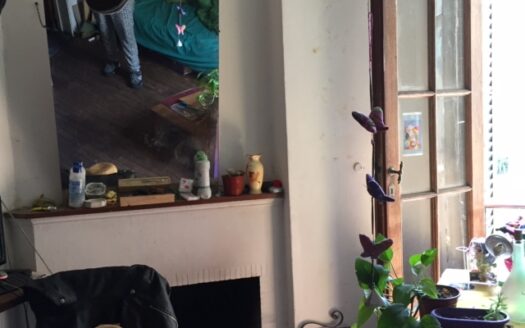 BOTANICO,PALERMO, 1 amb y 1/2. LUMINOSO a PULMON DE MANZANA. U$S 400